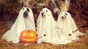 easy halloween costume