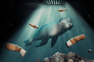Shows cigarette butts floating in the ocean with marine life after being dropped down a drain