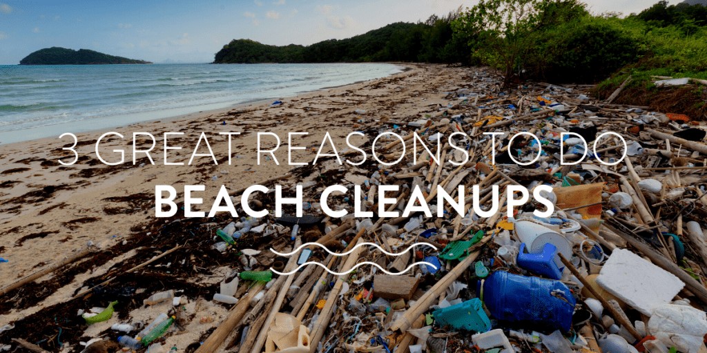 3 great reasons to do beach cleanups