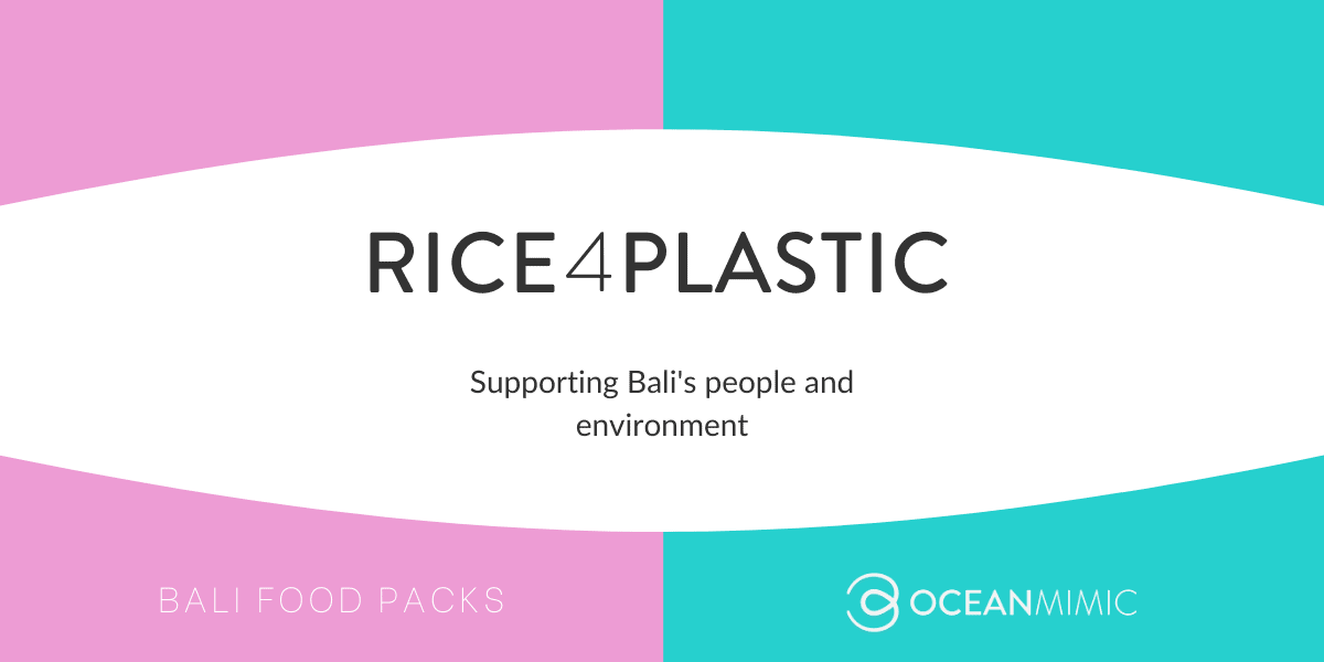 Rice 4 Plastic at the Ocean Mimic Recycling Centre