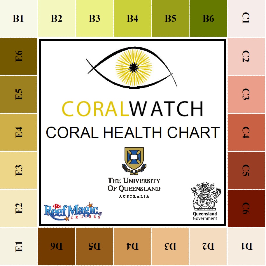 CoralWatch coral health chart