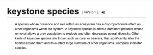 keystone species definition