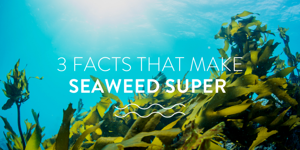 3 facts that make seaweed super