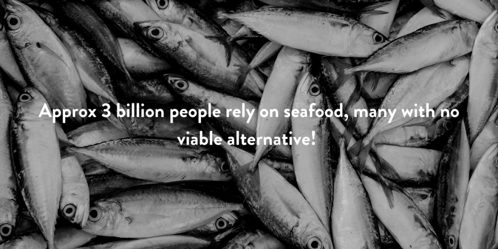 pile of fish with the text 'approx 3 billion people rely on seafood, many with no viable alternative!'