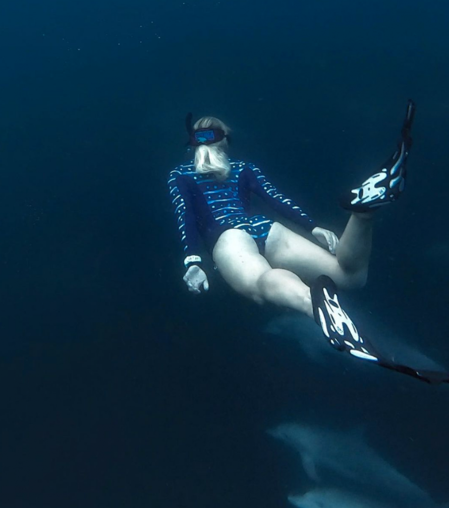 Dani wearing her ocean mimic whale shark suit and swimming with dolphins