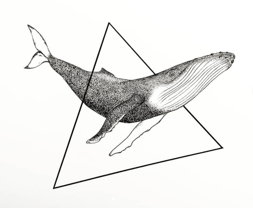 Humpback whale illustration by ocean advocate Loreto