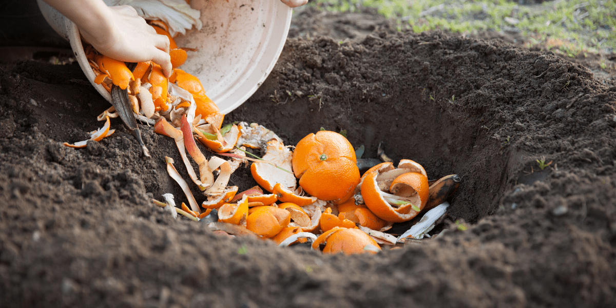 Composting – Why it’s Important and 4 Top Tips!