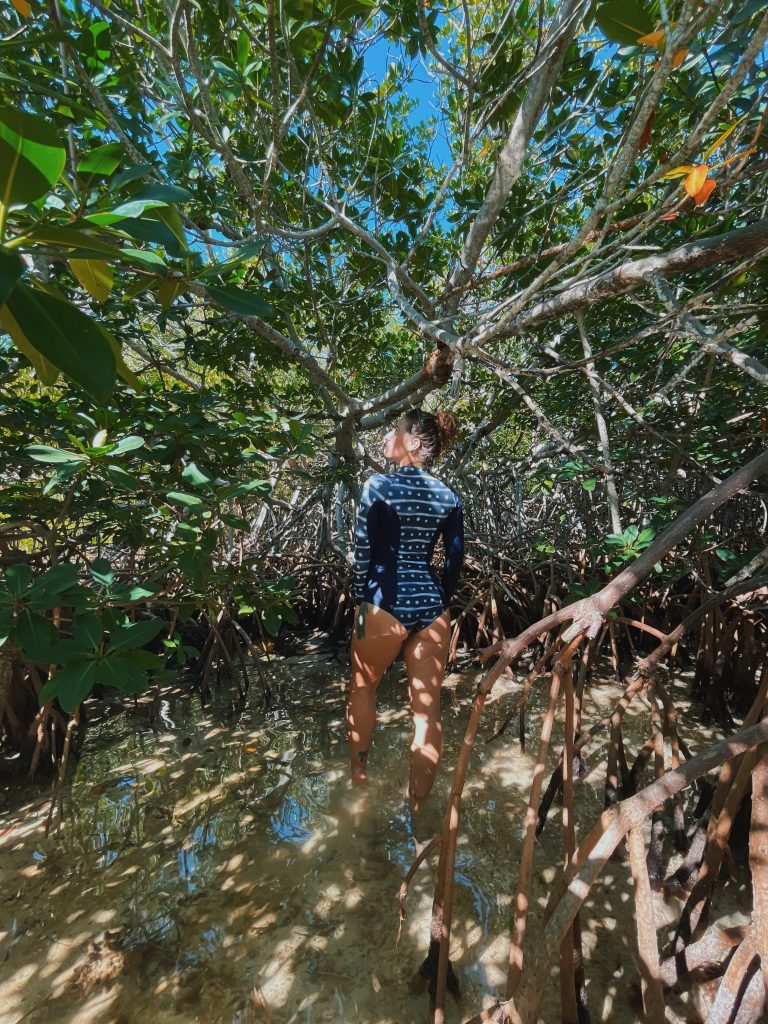 Alexa exploring the mangroves in Florida while wearing her whale shark body suit