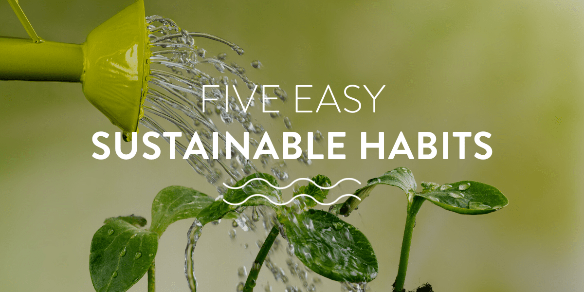 sustainable habits