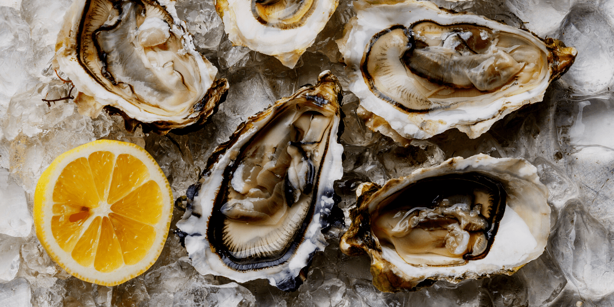 Oysters: An Important Member of Oceanfront Communities